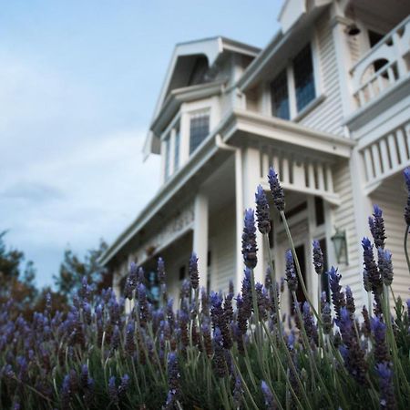 Vynfields Guest House Martinborough Exterior foto