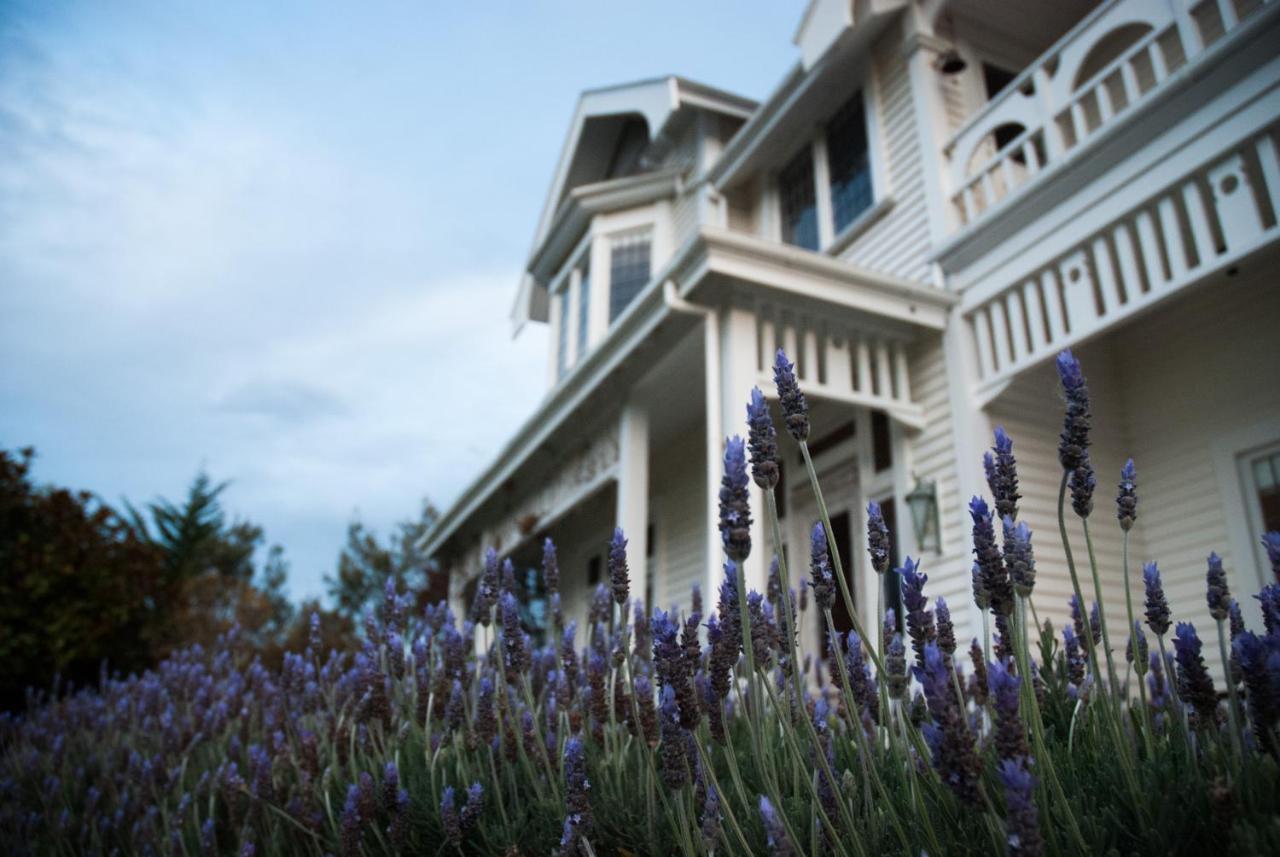 Vynfields Guest House Martinborough Exterior foto