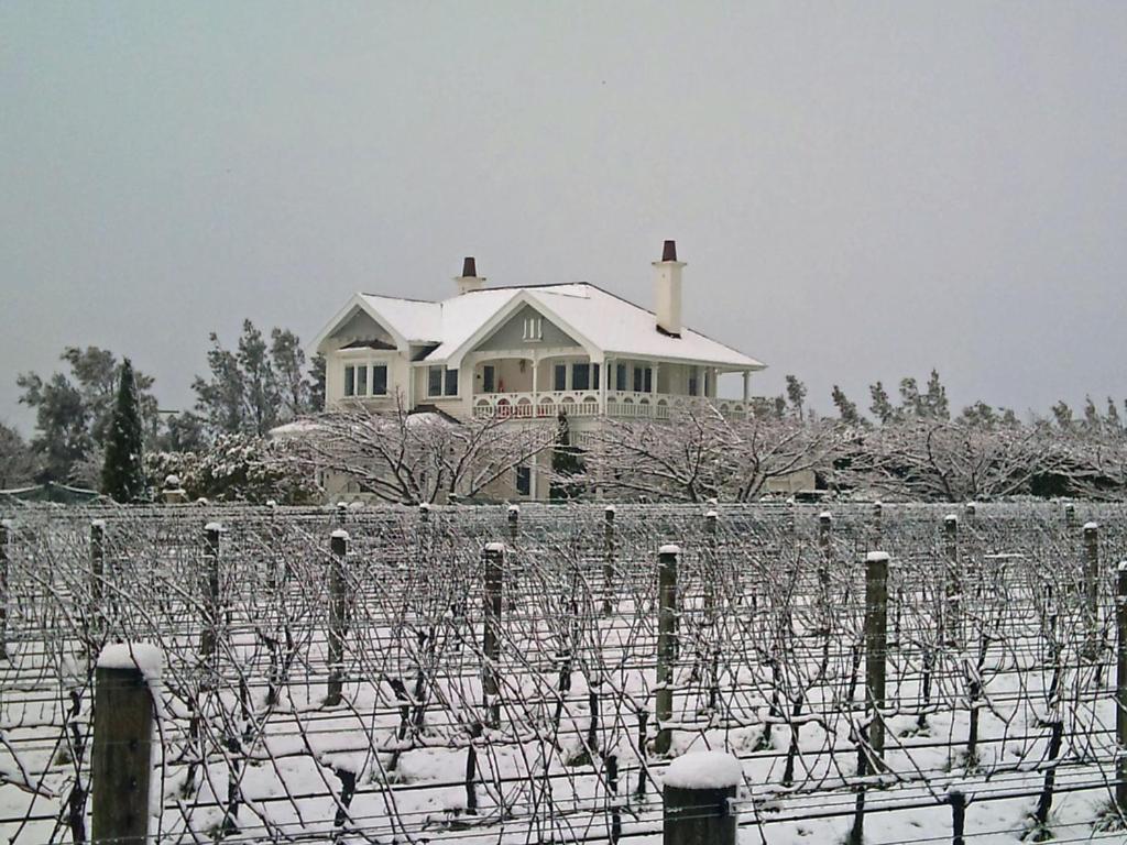 Vynfields Guest House Martinborough Exterior foto